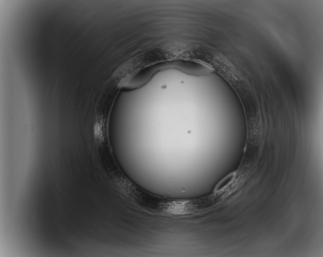 X0000097800090200803201406