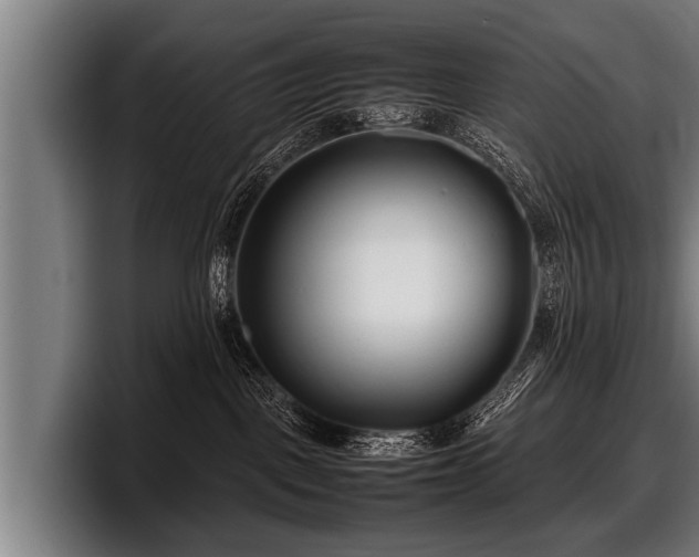 X0000097800093200803201406