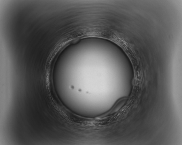 X0000097800098200803201405