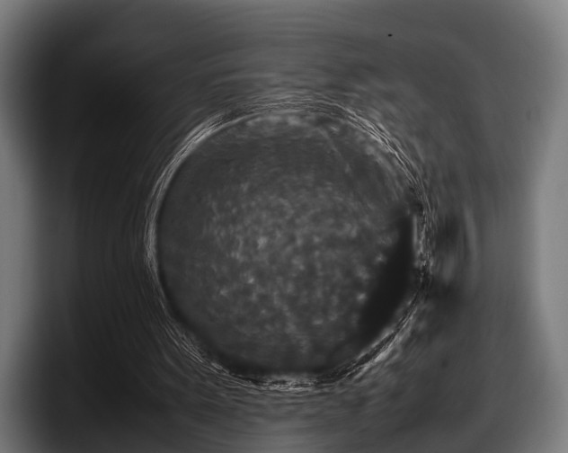 X0000097800099200803201405