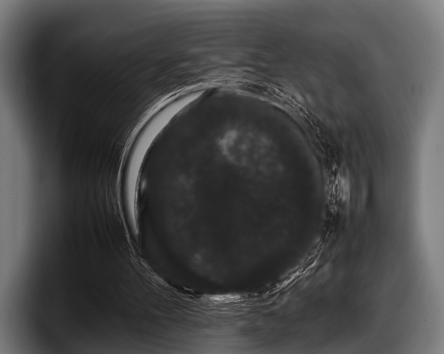 X0000097800100200803201405