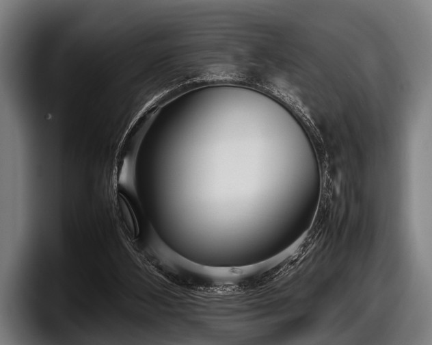 X0000097800108200803201405