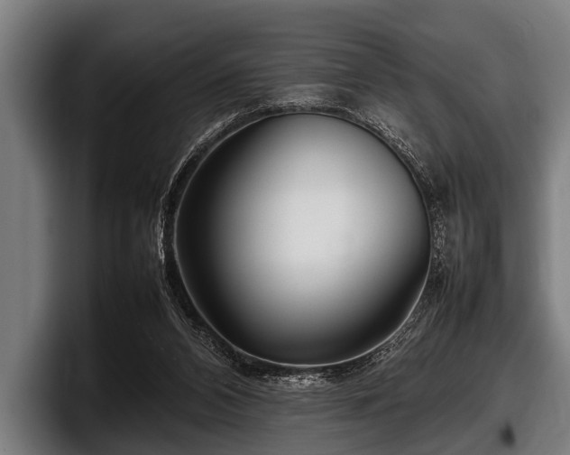 X0000097800112200803201405