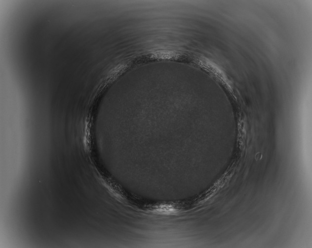 X0000097800114200803201405