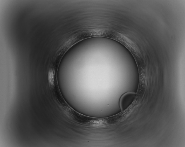 X0000097800118200803201405