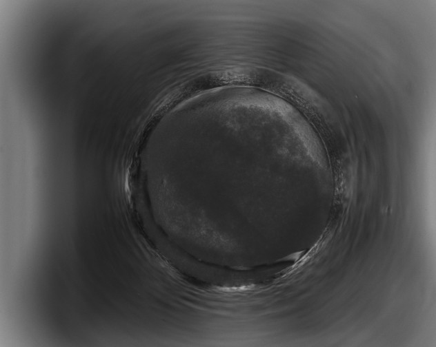 X0000097800124200803201405