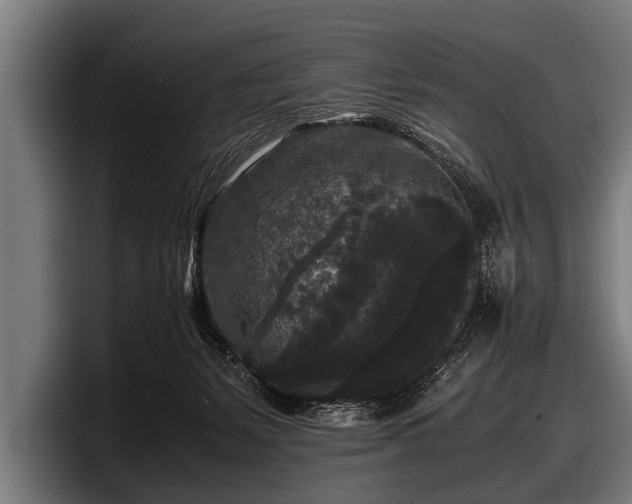 X0000097800127200803201405