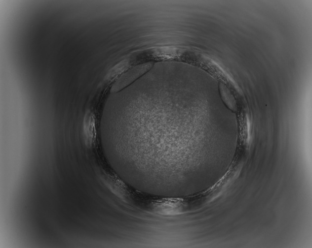 X0000097800128200803201405