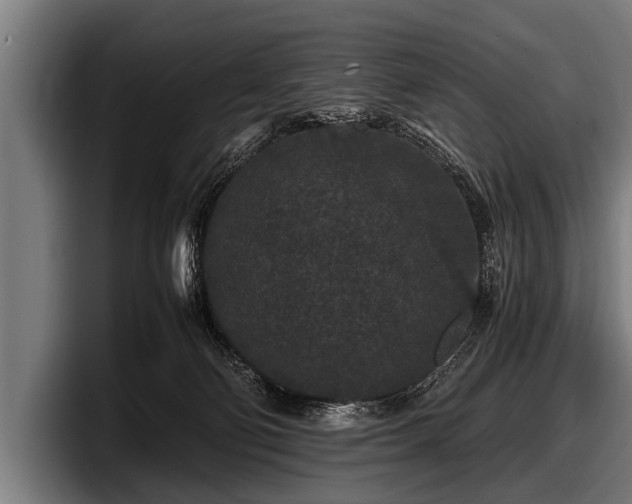 X0000097800130200803201405