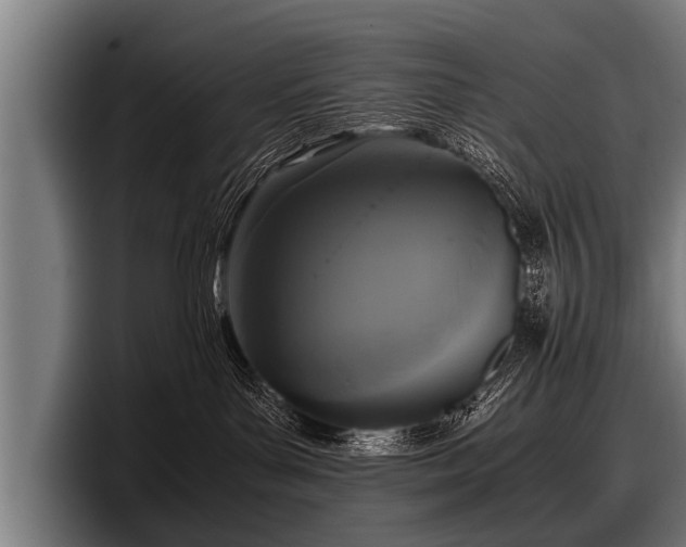 X0000097800143200803201405