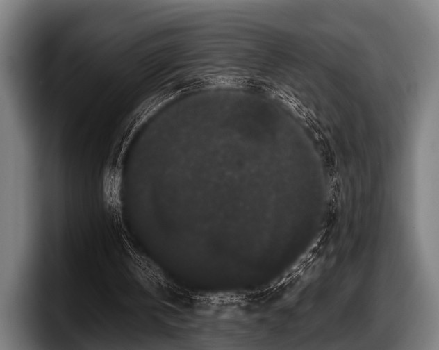 X0000097800146200803201404