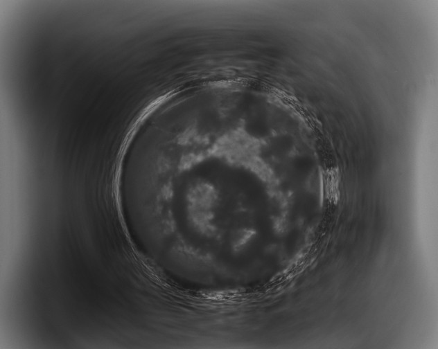 X0000097800147200803201404