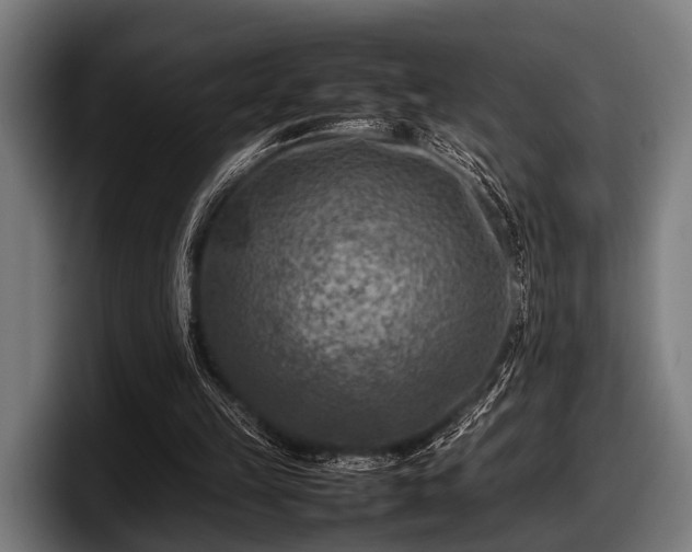 X0000097800149200803201404