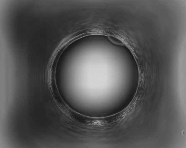 X0000097800151200803201404