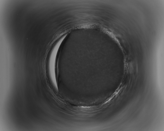 X0000097800154200803201404