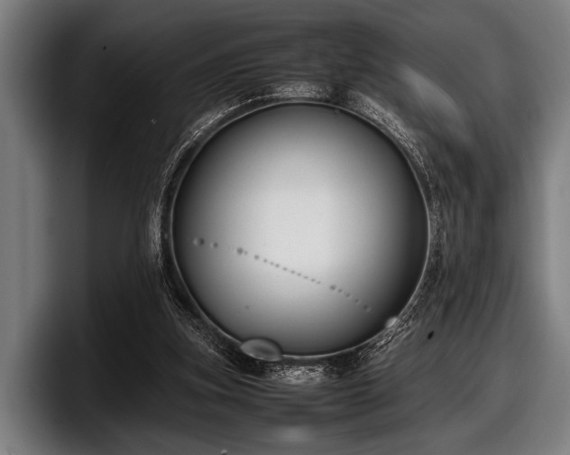 X0000097800155200803201404