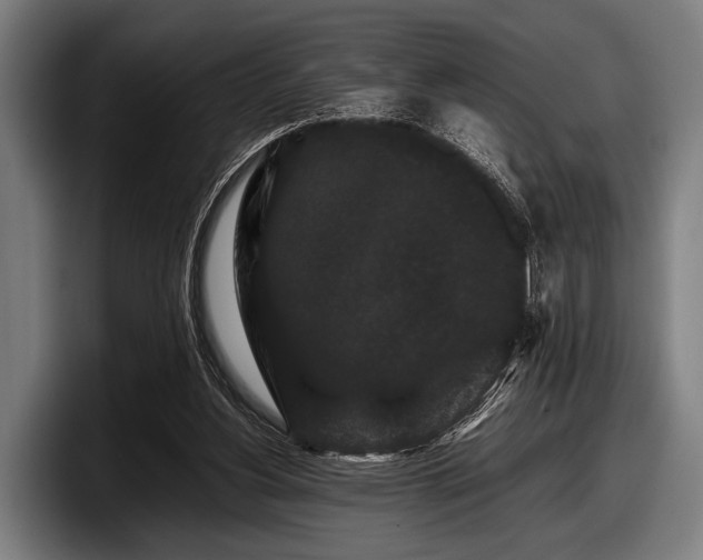 X0000097800156200803201404