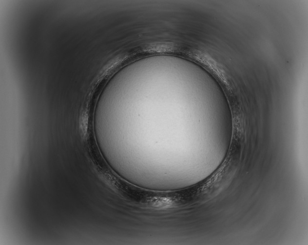 X0000097800159200803201404