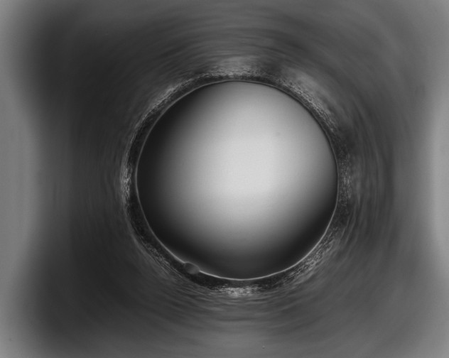 X0000097800160200803201404