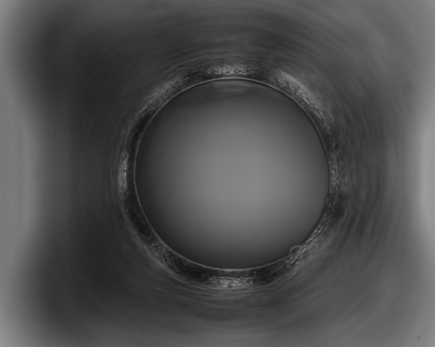 X0000097800163200803201404