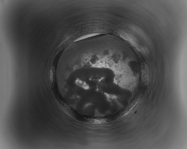 X0000097800165200803201404