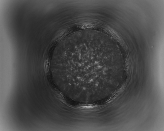 X0000097800169200803201404