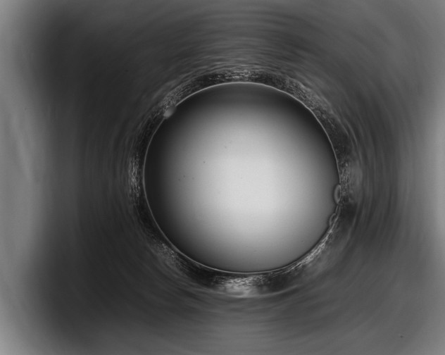 X0000097800178200803201405