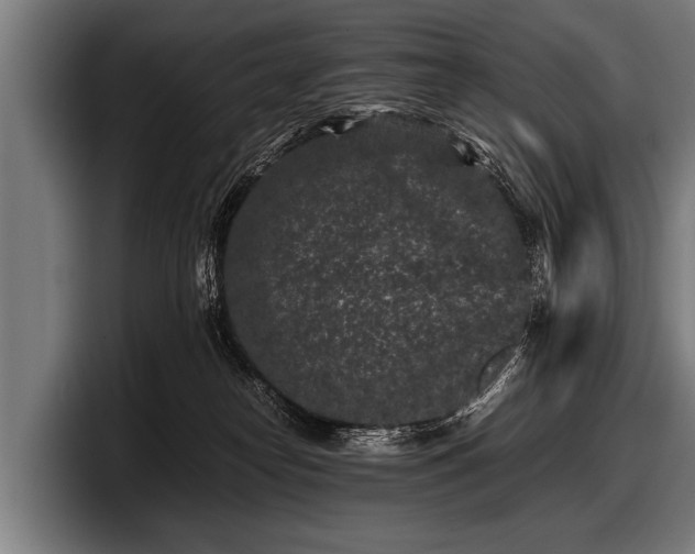 X0000097800182200803201405