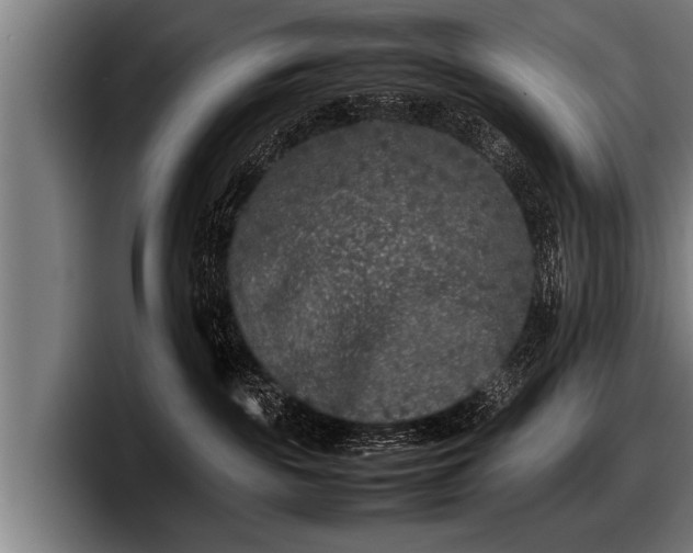 X0000097800189200803201405