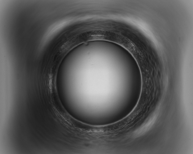 X0000097800194200803201404