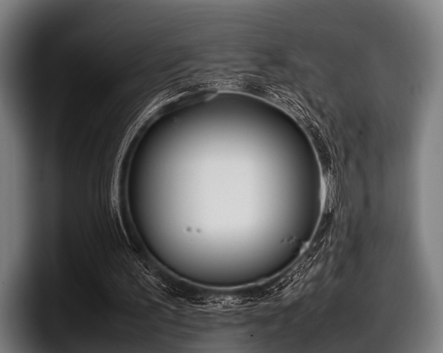 X0000097800195200803201404