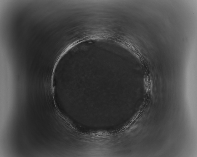 X0000097800196200803201404