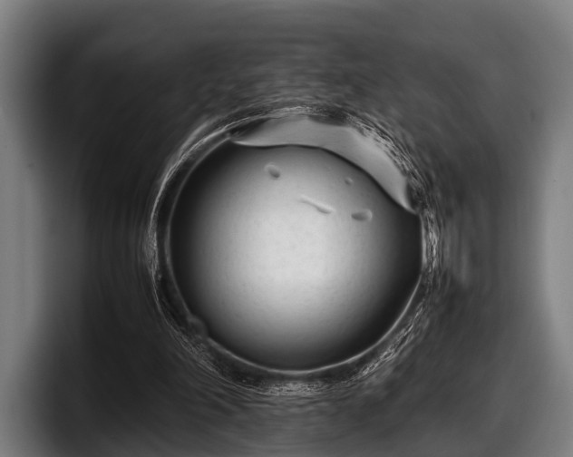 X0000097800198200803201404