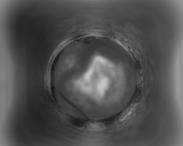 X0000097800199200803201404