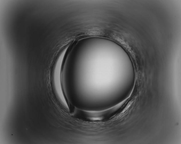 X0000097800201200803201404