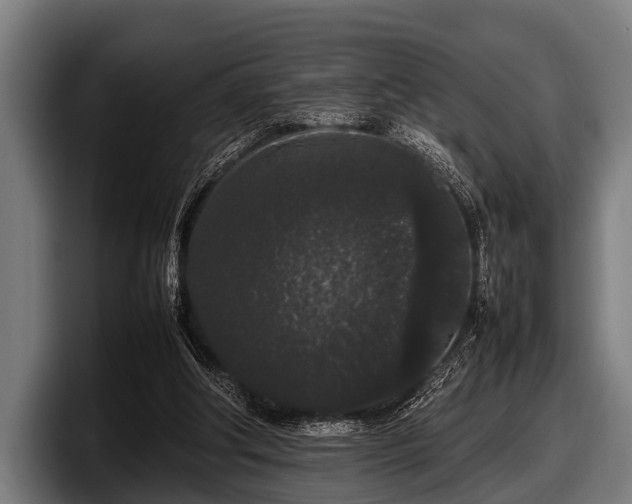 X0000097800202200803201404