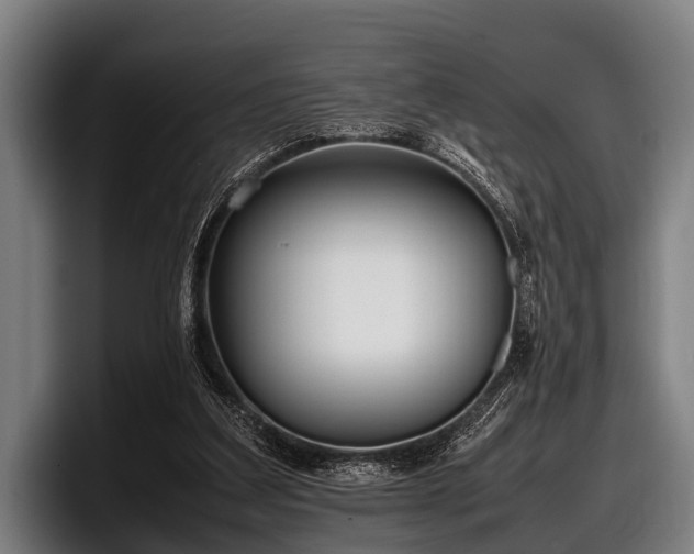 X0000097800203200803201404