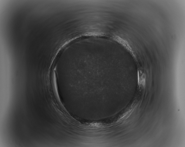 X0000097800204200803201404