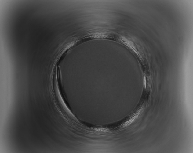 X0000097800205200803201404