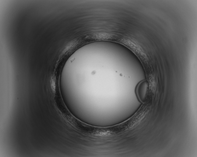 X0000097800206200803201404