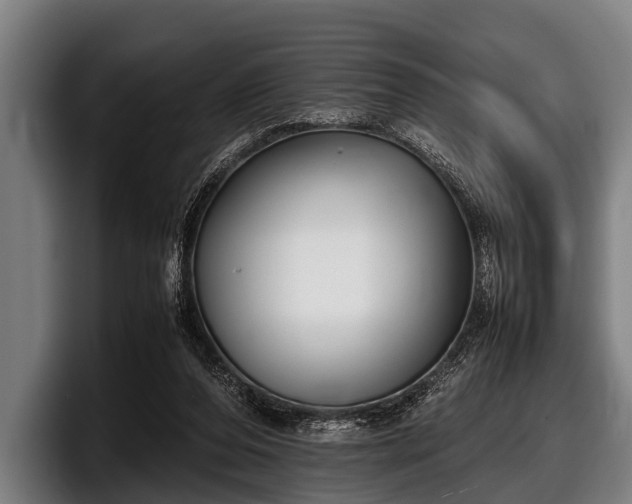 X0000097800208200803201404