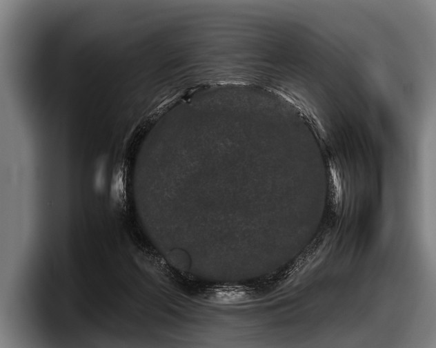 X0000097800214200803201404