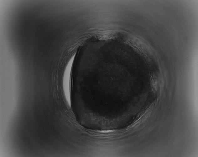 X0000097800219200803201404