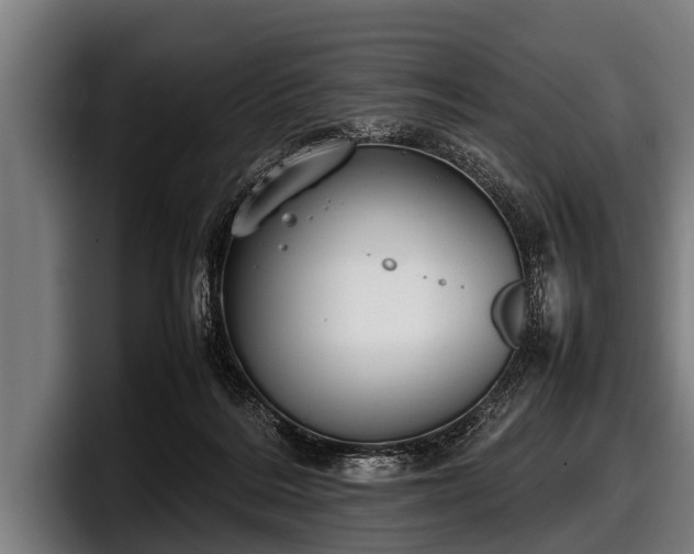 X0000097800220200803201404