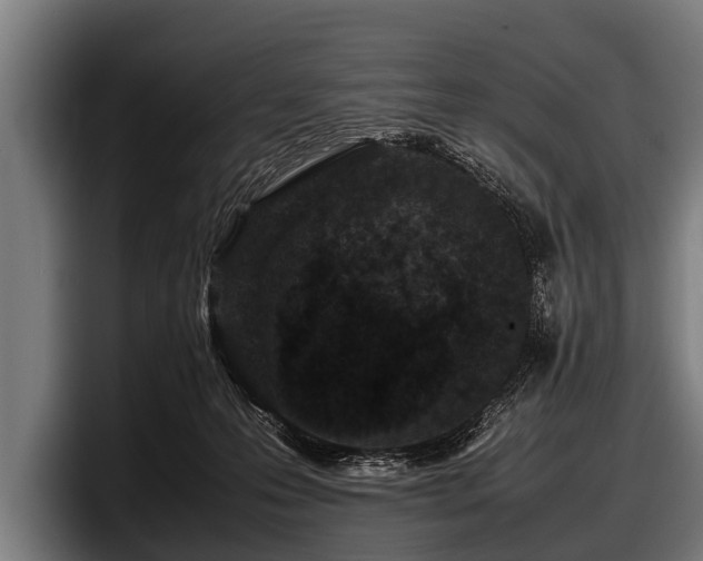 X0000097800223200803201404