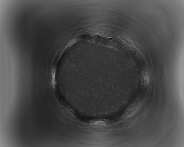 X0000097800224200803201404