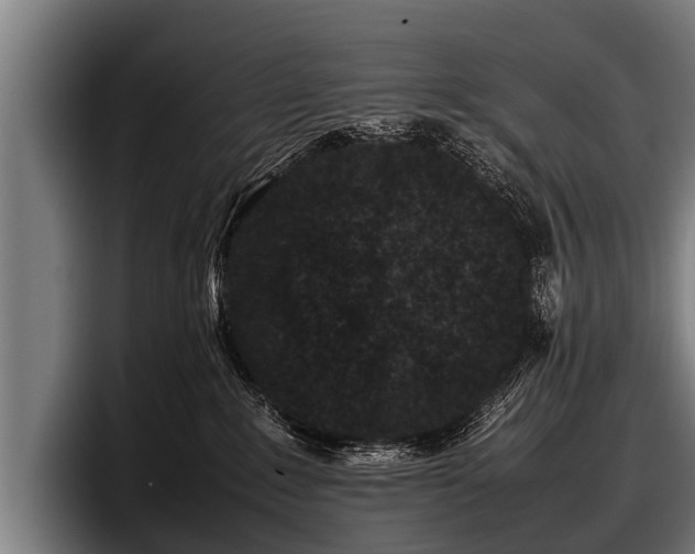 X0000097800235200803201404