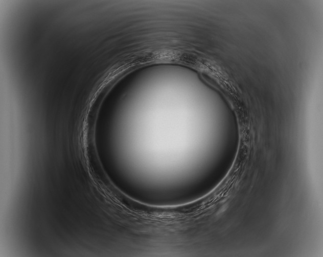 X0000097800242200803201403