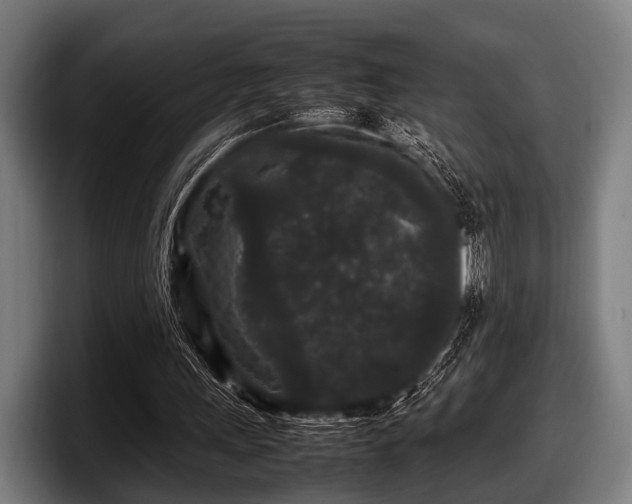 X0000097800243200803201403