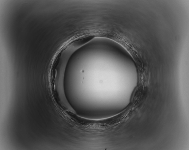 X0000097800244200803201403